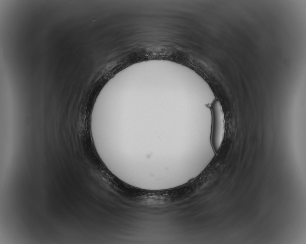 X0000083070756200703022156