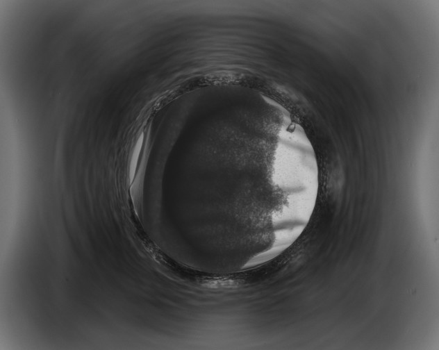 X0000083070759200703022156