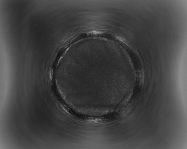 X0000083070760200703022156