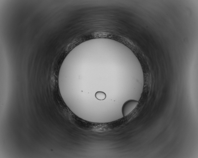 X0000083070761200703022156