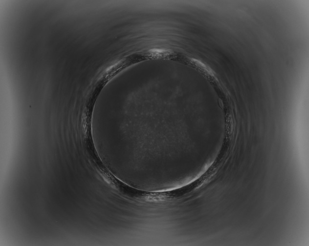 X0000083070762200703022156