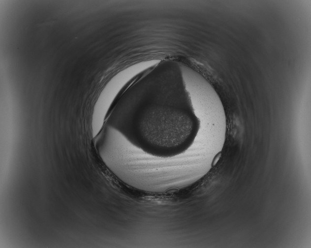 X0000083070763200703022156