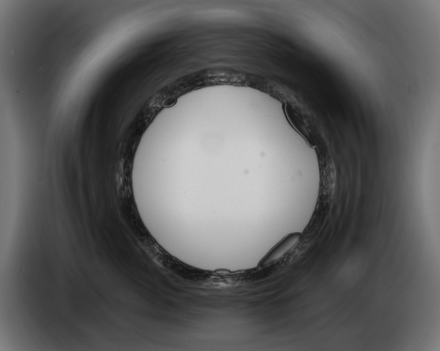 X0000083070764200703022156