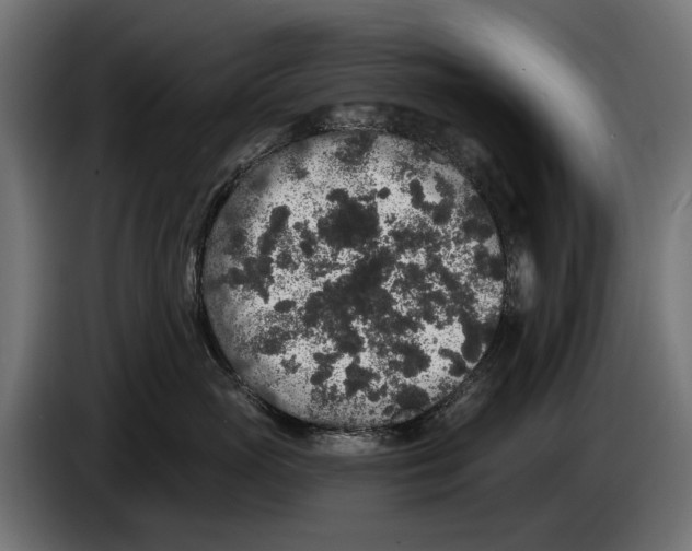 X0000083070765200703022156