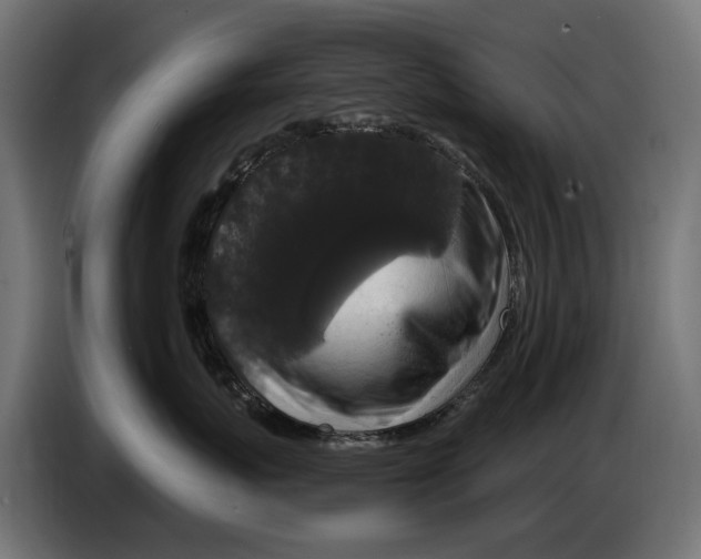 X0000083070767200703022156