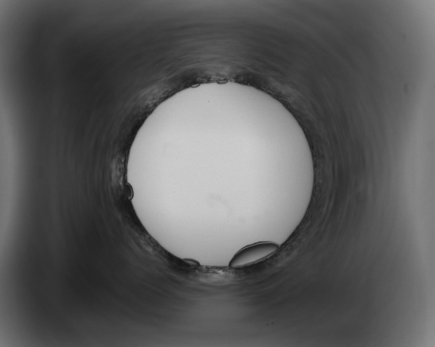 X0000083070768200703022156