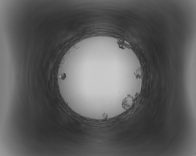 X0000083070769200703022156