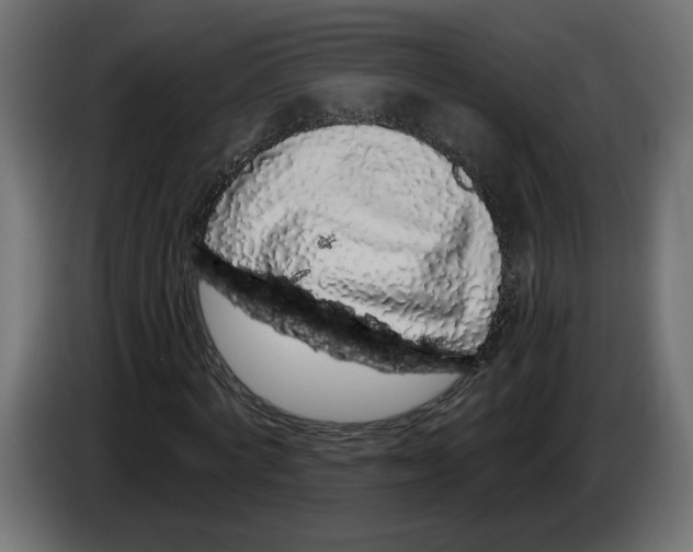 X0000083070772200703022156