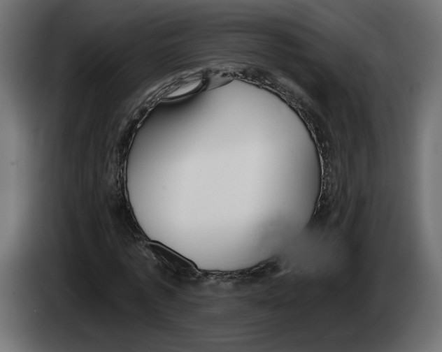 X0000083070773200703022156