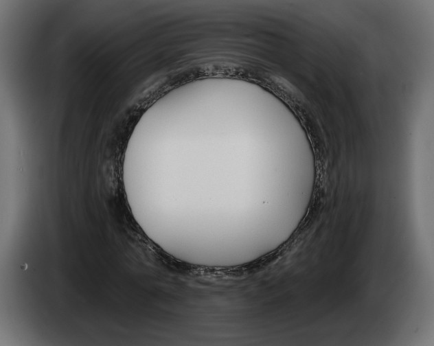 X0000083070774200703022156