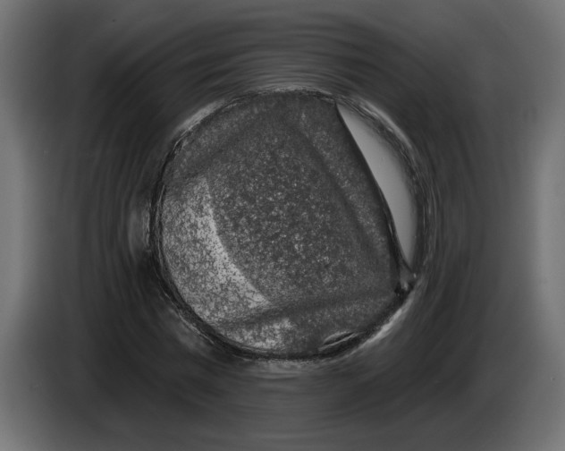 X0000083070777200703022155