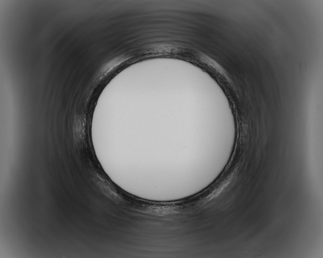 X0000083070778200703022155