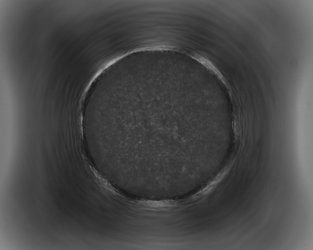 X0000083070781200703022155