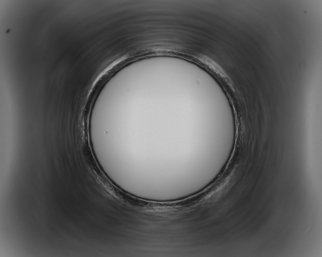 X0000083070782200703022155