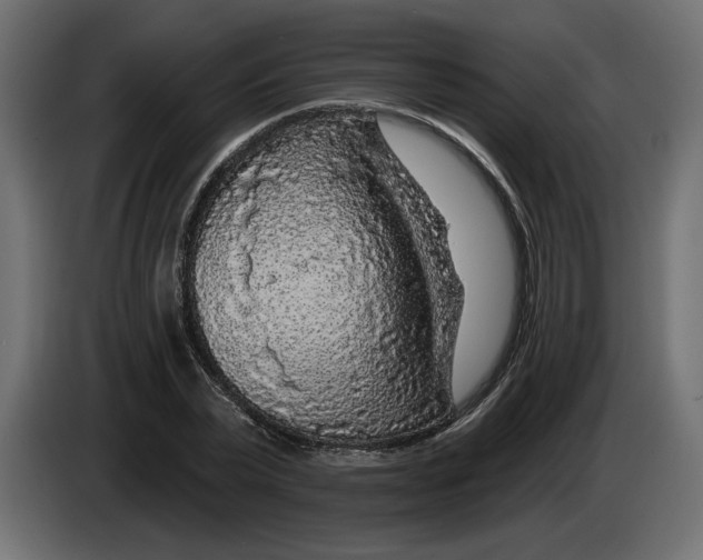 X0000083070783200703022155