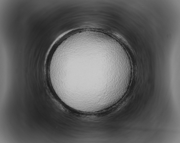 X0000083070784200703022155