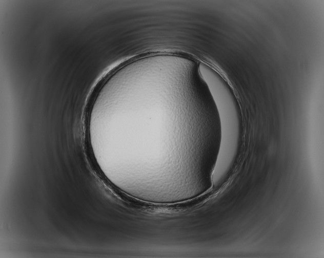 X0000083070787200703022155