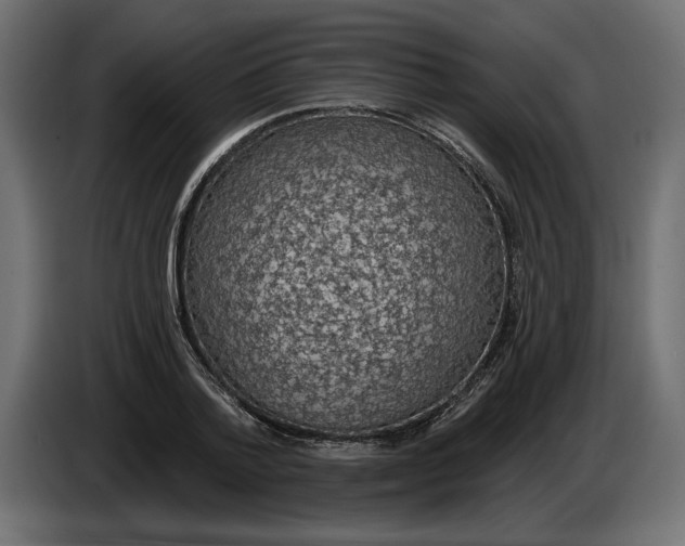 X0000083070788200703022155