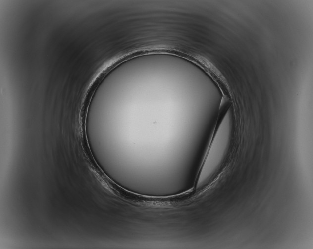 X0000083070789200703022155