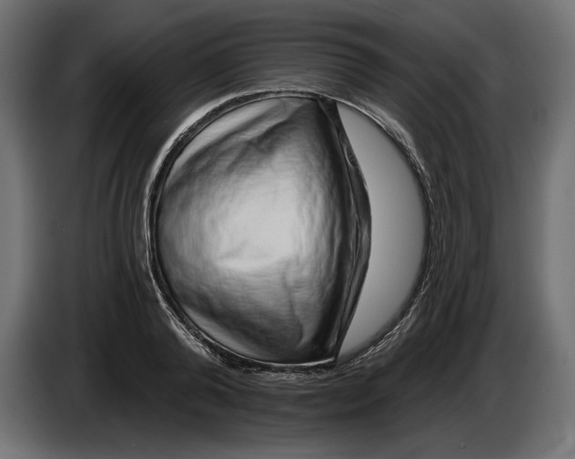 X0000083070792200703022155