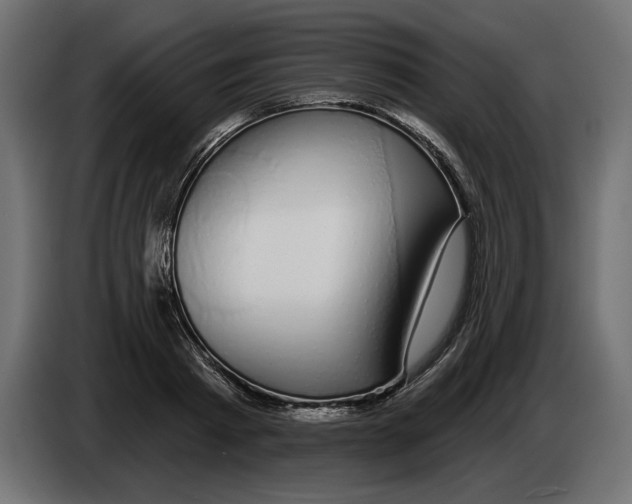 X0000083070793200703022155