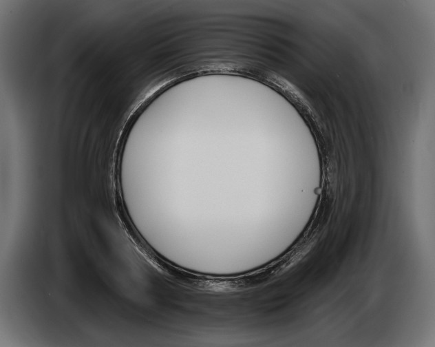 X0000083070794200703022155