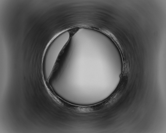 X0000083070795200703022155