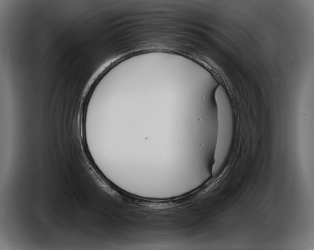 X0000083070796200703022155