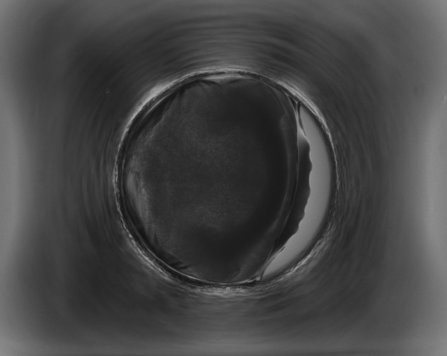 X0000083070797200703022155