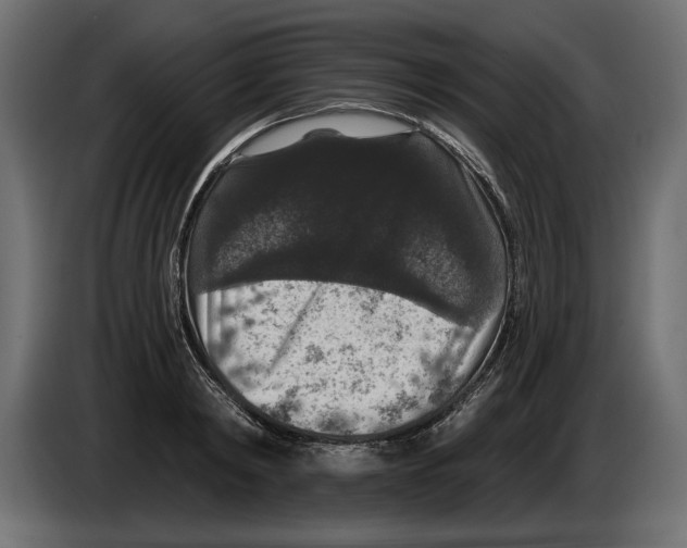 X0000083070798200703022155