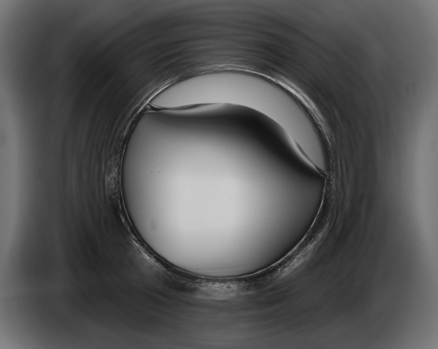 X0000083070801200703022155