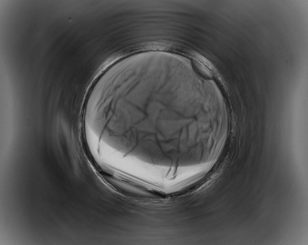 X0000083070802200703022155