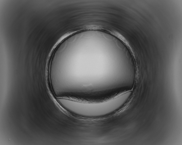 X0000083070803200703022155