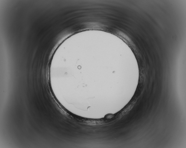 X0000083070804200703022155