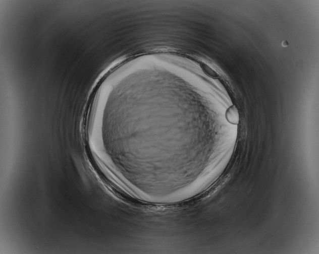 X0000083070806200703022155