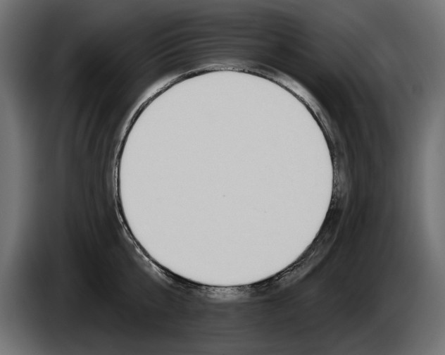 X0000083070807200703022155