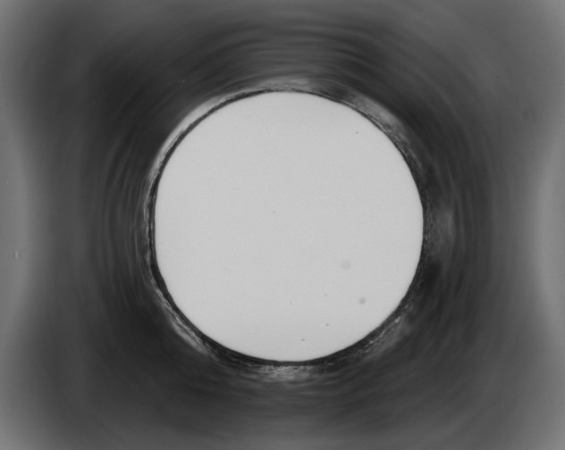 X0000083070808200703022155