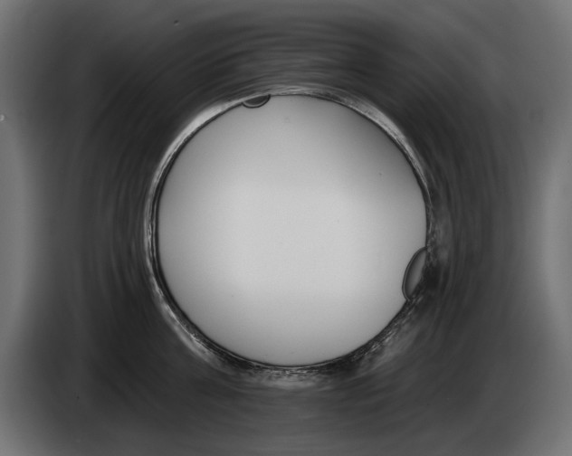 X0000083070811200703022155