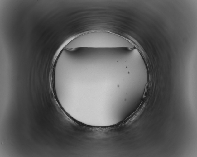 X0000083070812200703022155