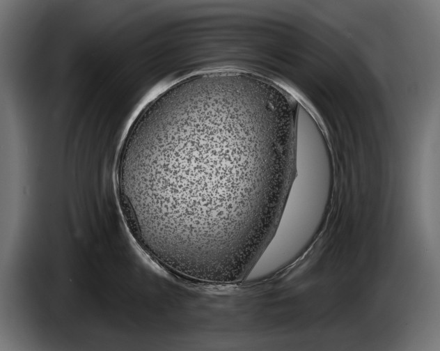 X0000083070813200703022155