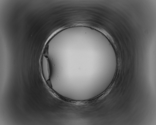 X0000083070814200703022155