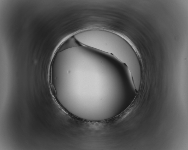 X0000083070815200703022155