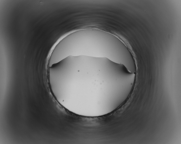 X0000083070816200703022155