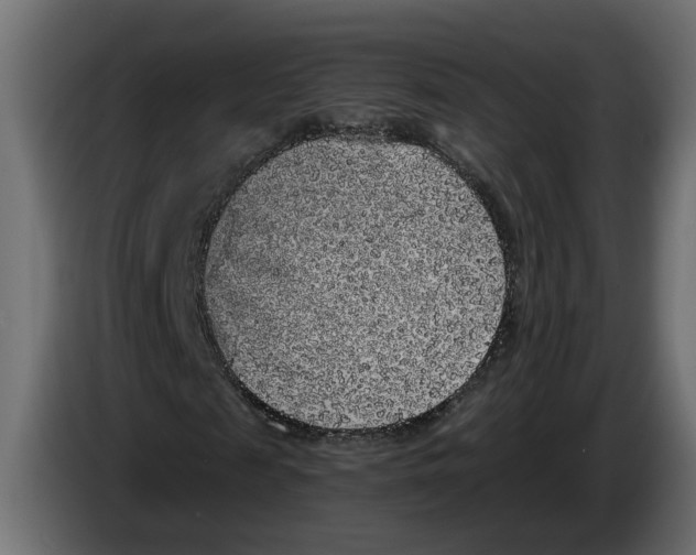 X0000083070817200703022154