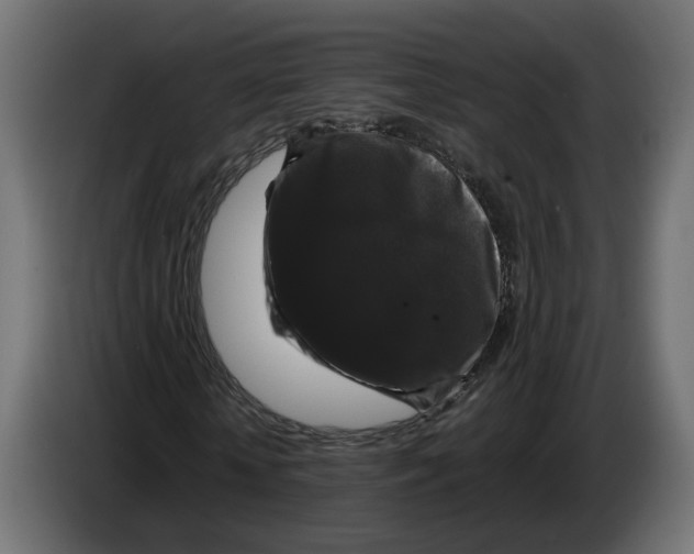 X0000083070818200703022154