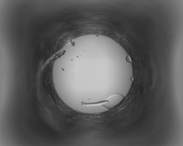 X0000083070820200703022154