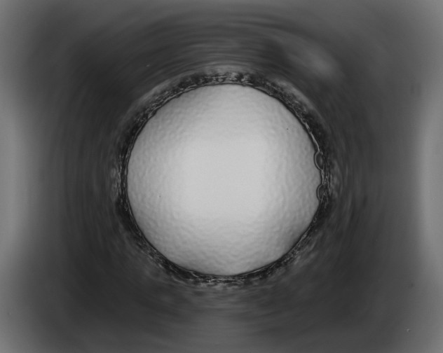 X0000083070821200703022154