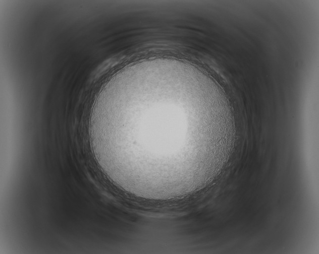 X0000083070824200703022154