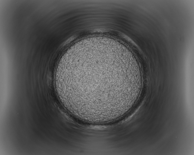 X0000083070825200703022154