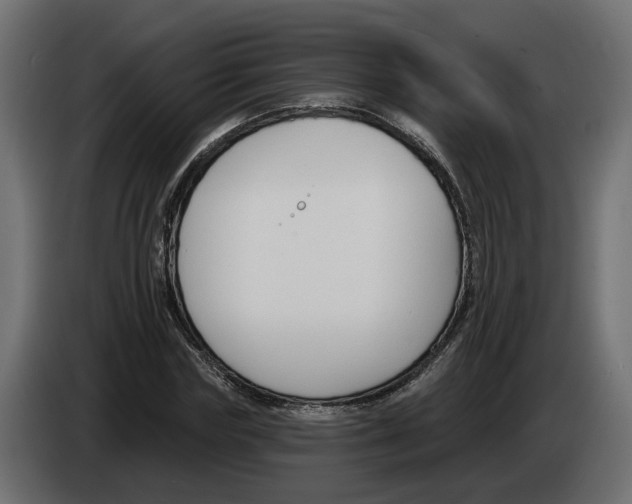 X0000083070827200703022154